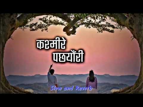 Kasmire Pachhyauri💗🤭Lufi [Slow+Reverb] New Nepali Romantic Song -Babu krishna pariyar.Depika Bayambu