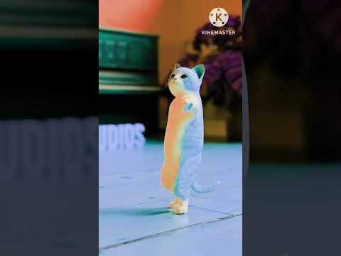 How this is possible 😱 #shocked #impossible #cats