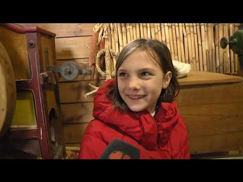 DNEVNIK 02.12.2019. Osječka televizija