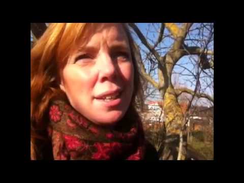 Min historie-kort fortalt