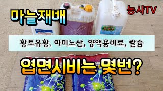 마늘재배,황토유황, 아미노산, 양액용비료, 칼슘 엽면시비는 몇 번할까요? [농사TV]