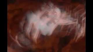 Video Creature Of The Demon de Kadavar