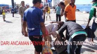 Download lagu MARS BARANTAN mp3