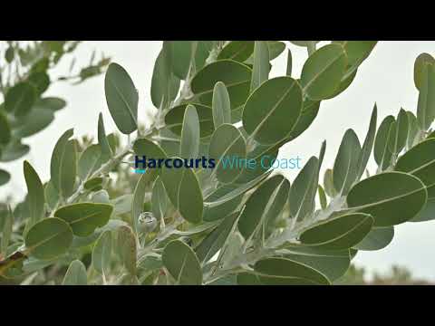 Flower Farm For Sale - 240a Braeside Road, Finniss South Australia