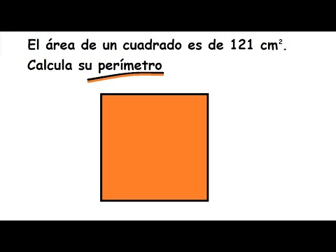 Hallar el perímetro de un cuadrado sabiendo el área