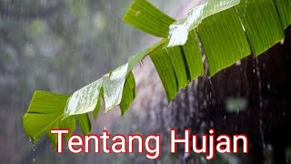 Download lagu Kata-kata Bijak Hujan Pagi Hari, Motivasi Agar Tak Mudah Menyerah mp3