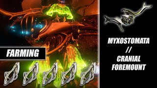 EASY Myxostomata & Cranial Foremount Farming