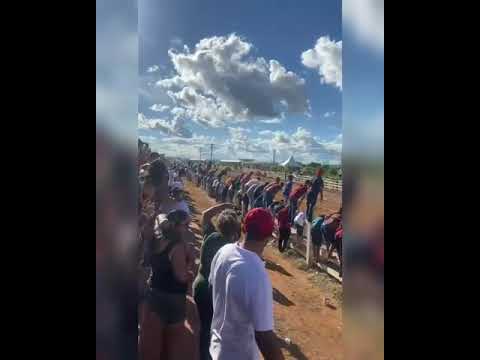 Dicky Brummel o cavalo sensação da Bahia. Corrida de cavalo