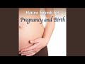 We Re Having A Baby Ocean Waves With Relaxing Flute Melody To Relax Mommy