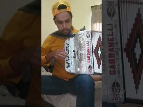 gabbanelli 2 hileras