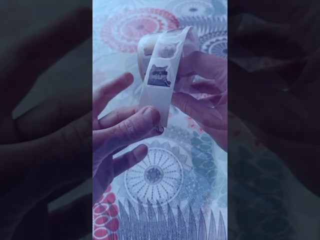 Vídeo relacionado con Pegatinas de para botellas de agua, pegatinas góticas de,Pegatinas impermeables de gatos espeluznantes góticos | 54X calcomanías de gato gótico para botella de agua, portátil, álbum de recortes, mono