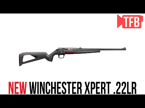 Winchester Xpert Pros \u0026 Cons