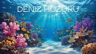Sakin Balıklı Deniz Dünyası – 2 Saatlik Okyanus Sesleriyle Rahatlama ve Hafıza Bakımı