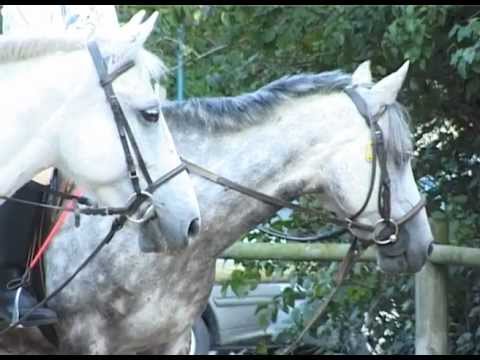 Périssable paradis II (Notes pour Un monde nouveau) (2002) by Gérard Courant