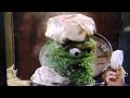 Sesame Street Visits The Firehouse Hospital But Only When Oscar Is Onscreen