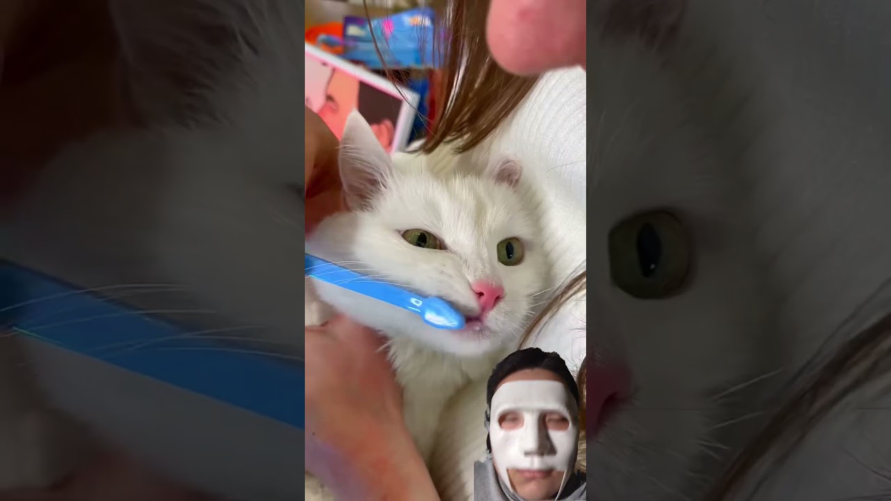 Funny video😂😂😂 #shorts #short #funny #funnyvideo #funnyshorts #sigma #memes #meme #subscribe