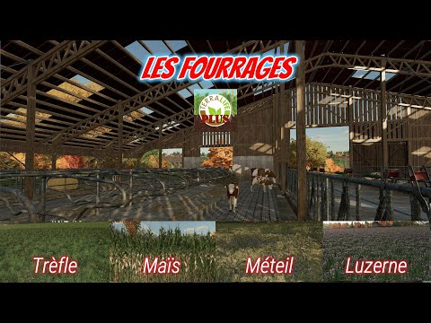 TERRALIFE🌽/ Fodder ☘️ / TUTORIAL