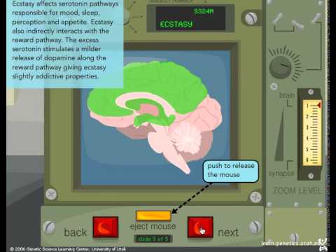 download lagu mp3 mp4 Mouse Party, download lagu Mouse Party gratis, unduh video klip Mouse Party