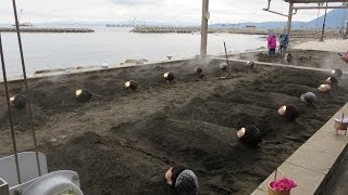 preview picture of video '「別府海浜砂湯」の紹介動画. Beppu Beach Sand Bath.'
