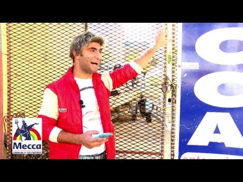 BOOGIE NIGHTS by MOTIV8 EVENTS Zoblu prt3