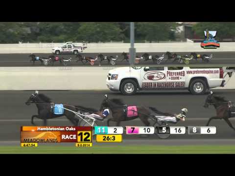 2014 Hambletonian Oaks - Lifetime Pursuit - August 2, 2014