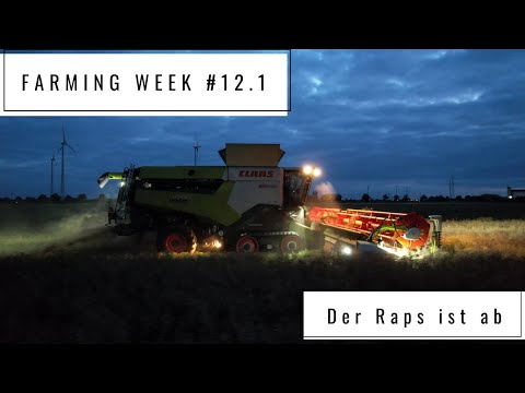 Farming Week #12.1 | Der Raps ist ab