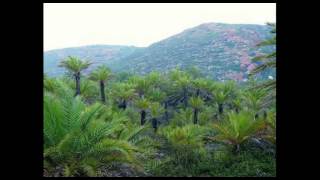 BO Jurassic Park - Highwire stunts