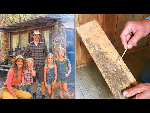 Off-Grid Family Vanished in 1996, Maggots at Old Cabin Reveal the Truth 10 Years Later...