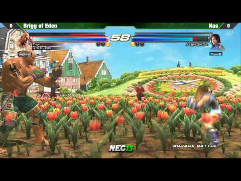 Nas vs Brigg of Eden - NEC13 TTT2 Singles