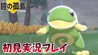 #26【ポケモン剣盾】鎧の孤島　クリア後図鑑埋め【ポケットモンスター ソード・シールド】