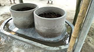 ডিমলা বিআরডিবির অপ্রধান শস্য প্রকল্পের ভার্মি কম্পোষ্ট প্রদর্শনী-১
