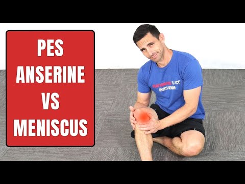 Pes Anserine Bursitis Vs. Medial Meniscus Injury