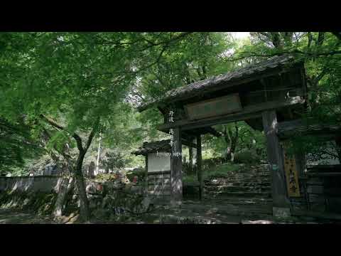 丹波 高源寺