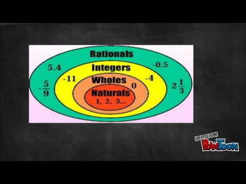 Prime Numbers and the Number System