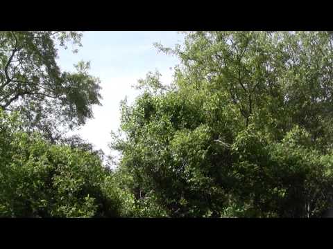 Bay Circuit Trail: Bay Farm Duxbury and Kingston MA Part 1.