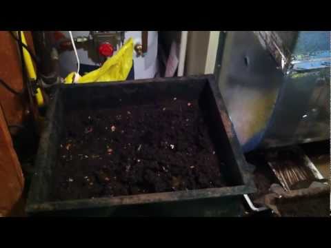 Worm-Bin in Basement: Vermicomposting
