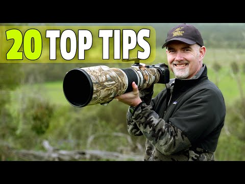 Turbocharge Your Wildlife Photography!! Avoid My Mistakes!!