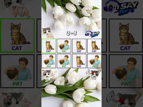 Say The Word On Beat Challenge | Psrt 8 | Level 1-5 Pat Cat