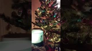 Decorating my tree 🎄 Christmas Is Now Drawing Near At Hand - Steve Winwood 3