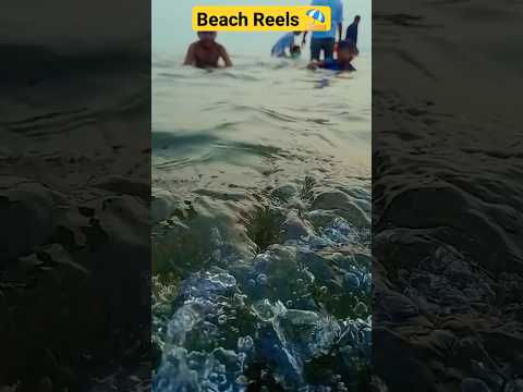 Waves Say Something🎶 Beach Songs🏖️🌊