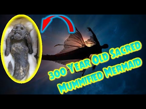 300 Year Old Sacred Mummified Mermaid From Japan’s Mystery Solved - Archeology