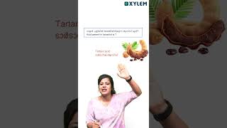 കുറച്ചു Important Questions !! | Xylem Class 7