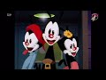 Animaniacs Slipping On The Ice Danish