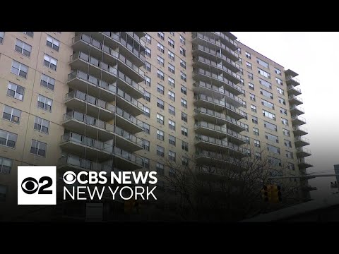 Police investigating an apparent murder-suicide that left 2 dead, 1 injured in the Bronx