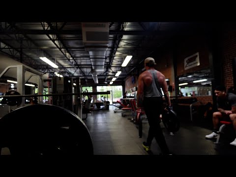 Spring Cut Day 9 | Back & Biceps