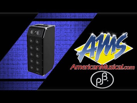 Phil Jones Bass BG800 Roadcase - American Musical Supply