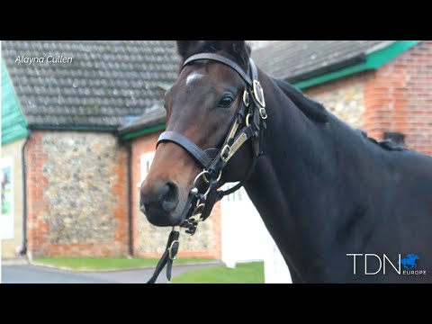 Study Of Man New to Lanwades