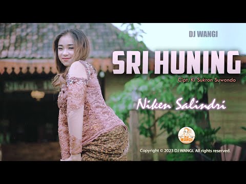 Dj Sri Huning - Niken Salindry (Official Music Video)