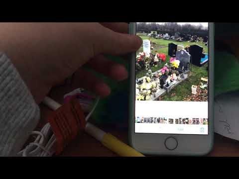 Elena Baltacha gravesite Ipswich millennium cemetery