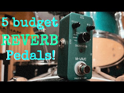 5 Reverb Pedals on a Budget for Shoegaze!